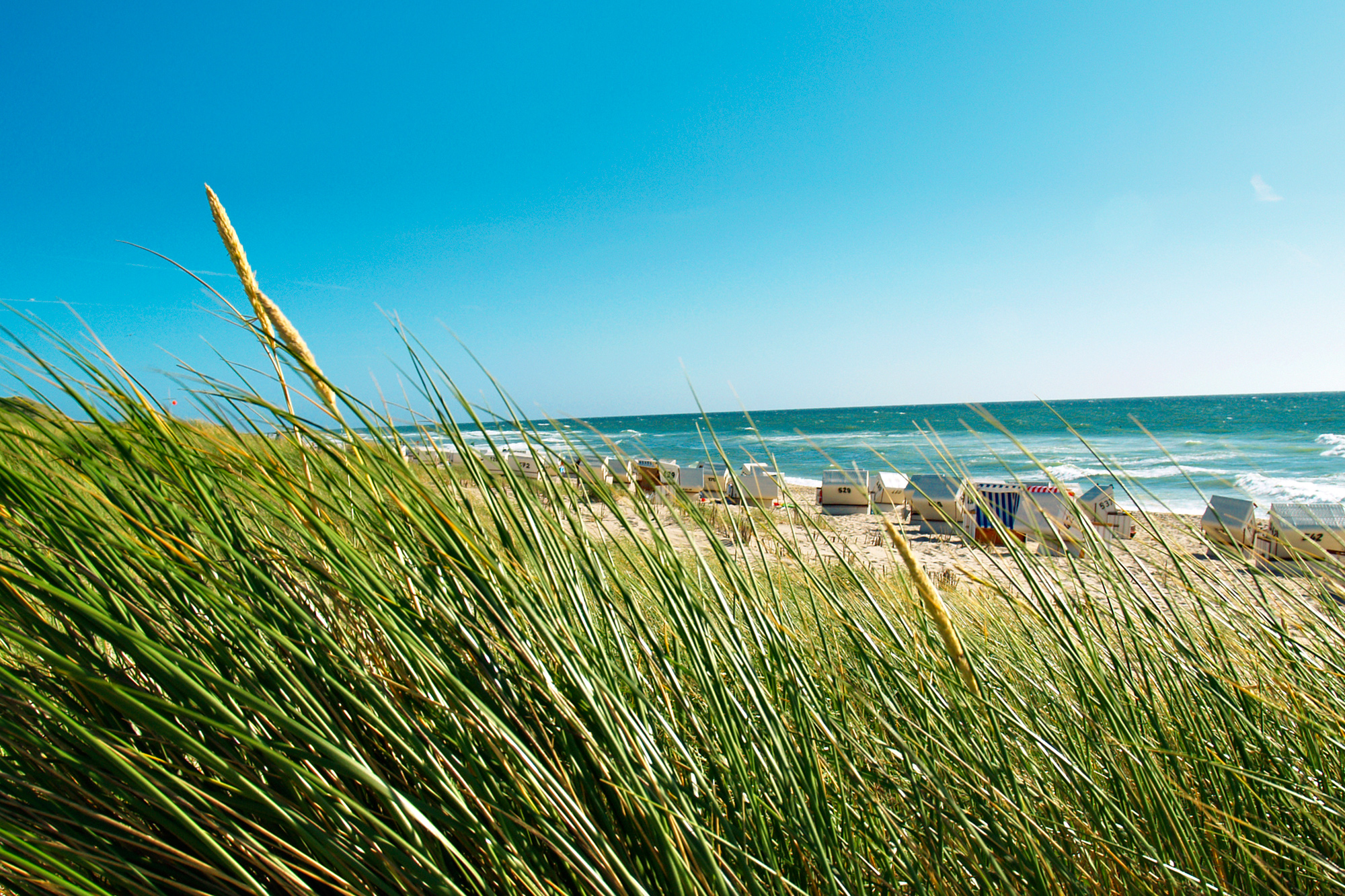 Urlaub mit Hund Nordsee » Nordseeurlaub mit Hund buchen TUI.ch
