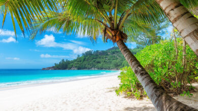 Die Boston Bay auf Jamaika ist der Geburtsort des Jerk, das authentischste Jerk Chicken der Insel.