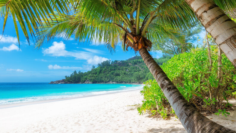 Die Boston Bay auf Jamaika ist der Geburtsort des Jerk, das authentischste Jerk Chicken der Insel.