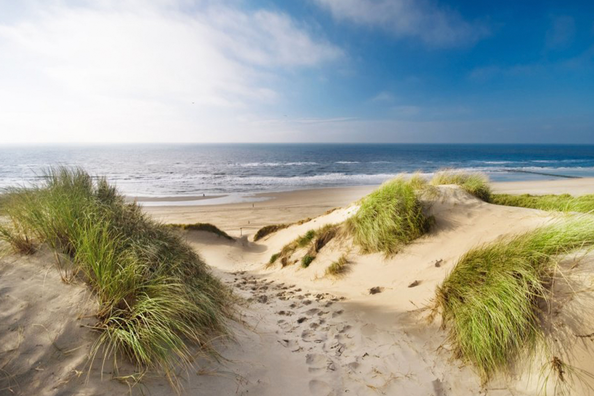 TUI Ferien mit Hund Niederlande Hundefreundliche Hotels in Holland