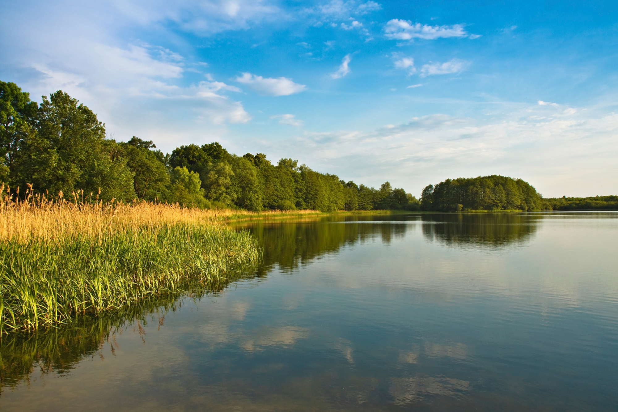 Single urlaub mecklenburg vorpommern